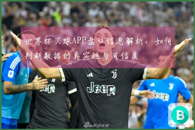 世界杯买球APP盘口信息解析，如何判断数据的真实性与可信度