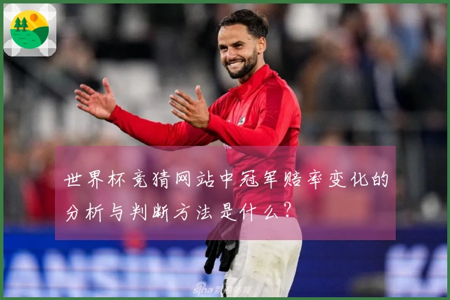 世界杯竞猜网站中冠军赔率变化的分析与判断方法是什么？
